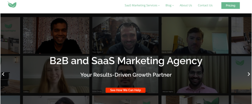 bay-leaf-digital-saas-marketing-companies