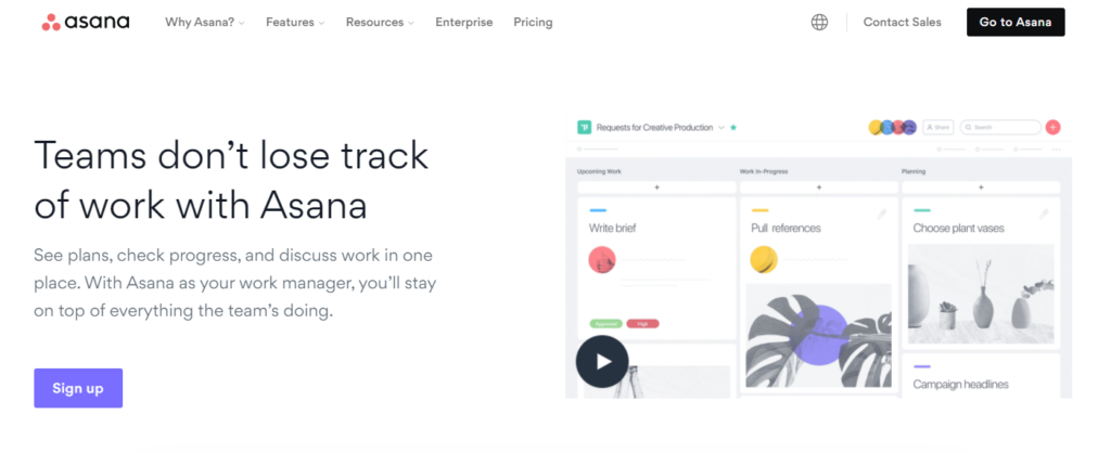 asana-project-management